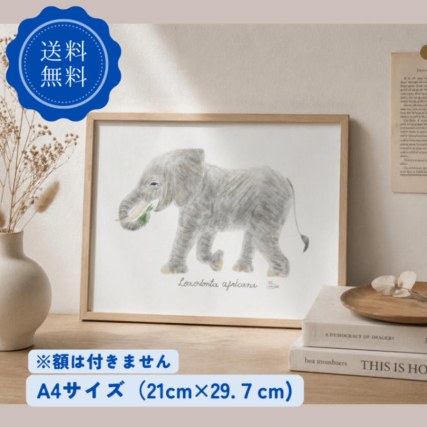 【ハンドメイド】水彩ポストカード｜ゾウ｜ナチュラルイラスト