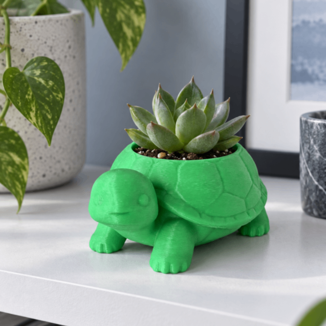 亀1号鉢｜3Dプリンター製
