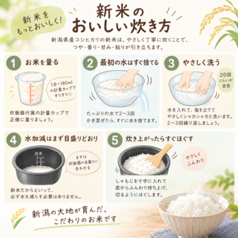 ✨新米✨令和8年度産新潟県産コシヒカリ 10kg 玄米
