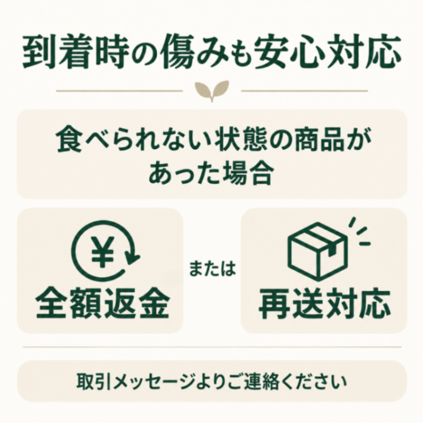 【鳥取県産】砂丘ながいも 約1kg（2本前後）｜ご家庭用