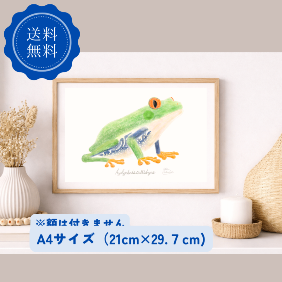 【ハンドメイド】水彩ポストカード｜カエル｜雨の日イラスト