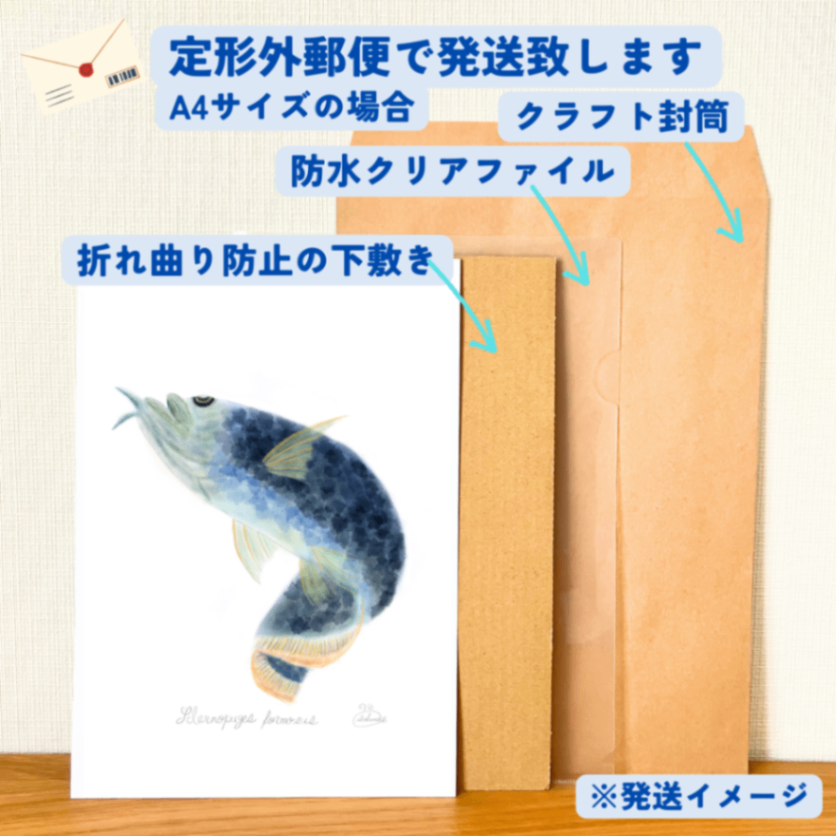 【ハンドメイド】水彩ポストカード｜アロワナ｜海の生き物イラスト