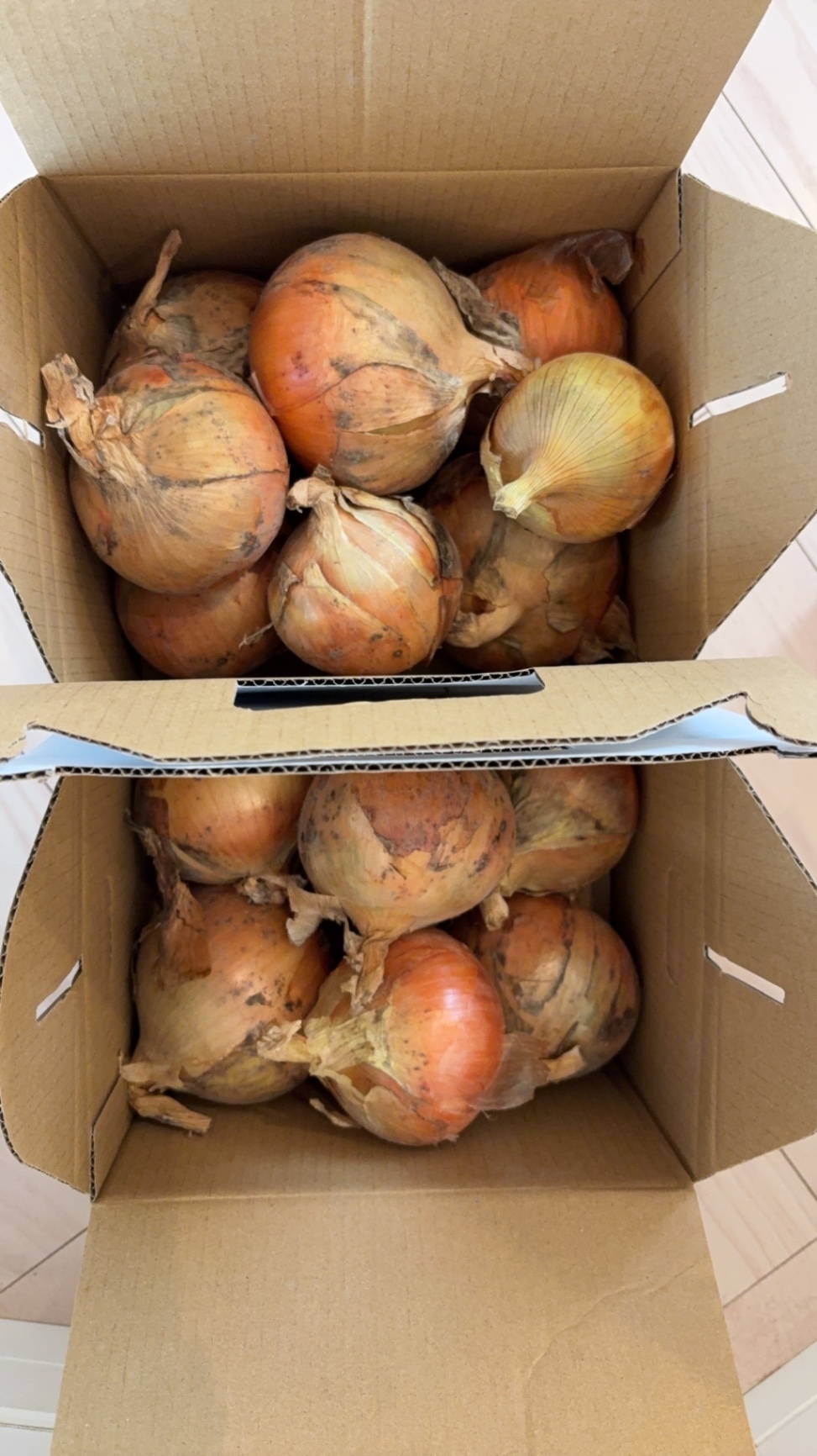 淡路島産の甘くてみずみずしい大きな玉ねぎ｜毎日の料理に使いやすい新鮮たまねぎ