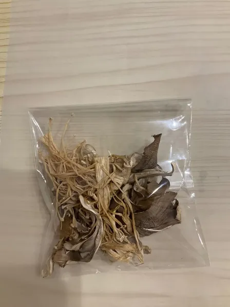【秋の味覚】干しきのこミックスちゃん🍄‍🟫