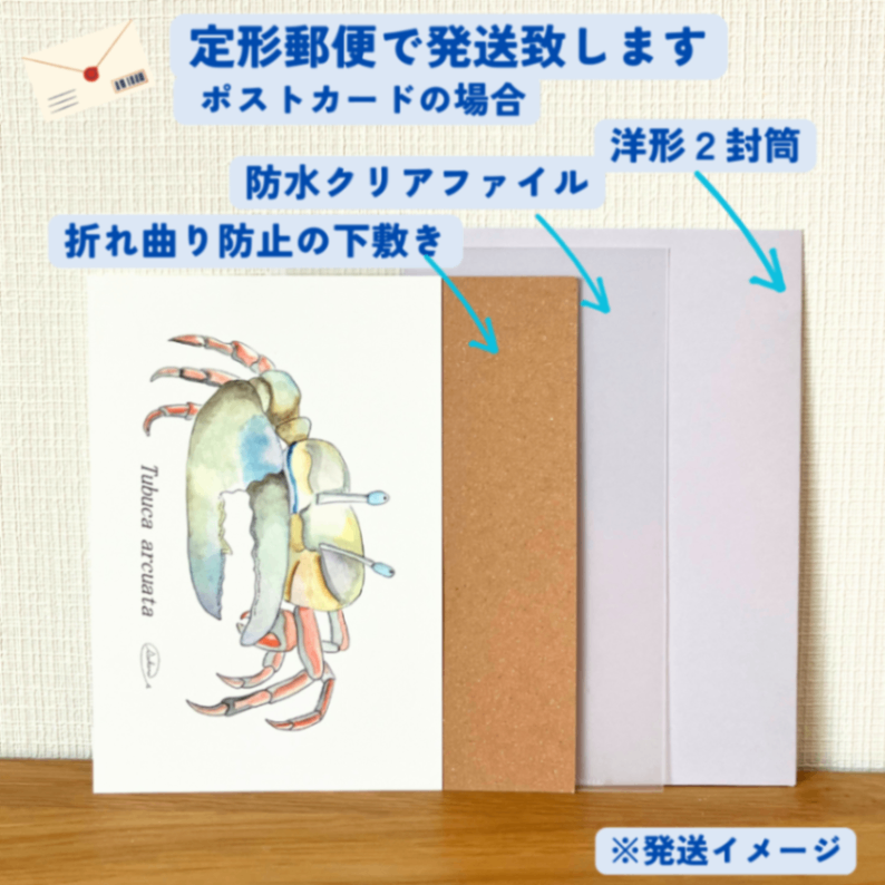 【ハンドメイド】水彩ポストカード｜カニ｜海の生き物イラスト