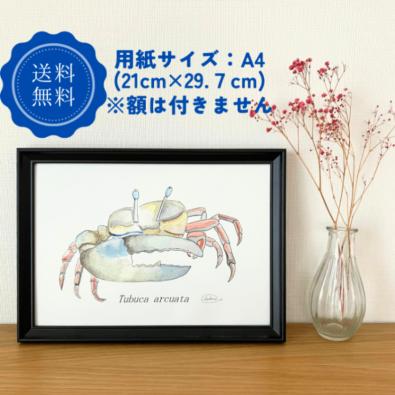 【ハンドメイド】水彩ポストカード｜カニ｜海の生き物イラスト