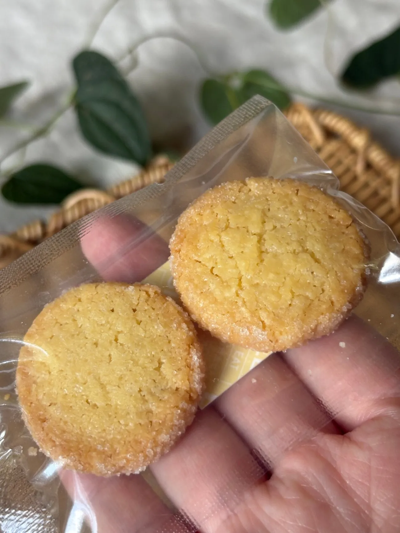 10/23発送【送料込】３時のおやつ焼き菓子セット