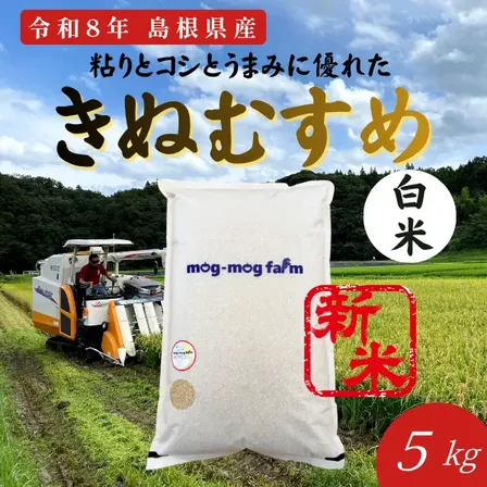 令和8年産新米 島根県産きぬむすめ 白米5kg 5年連続特A産地一等米相当発送直前精米 【秋の味覚】