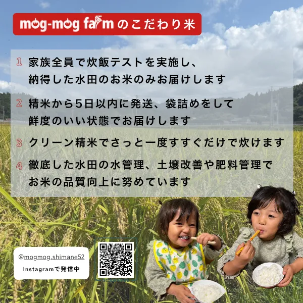 令和8年産新米 島根県産きぬむすめ白米10kg 5年連続特A産地一等米相当発送直前精米 【秋の味覚】