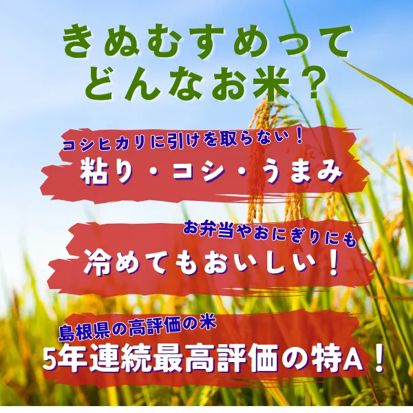 令和8年産新米 島根県産きぬむすめ白米10kg 5年連続特A産地一等米相当発送直前精米 【秋の味覚】