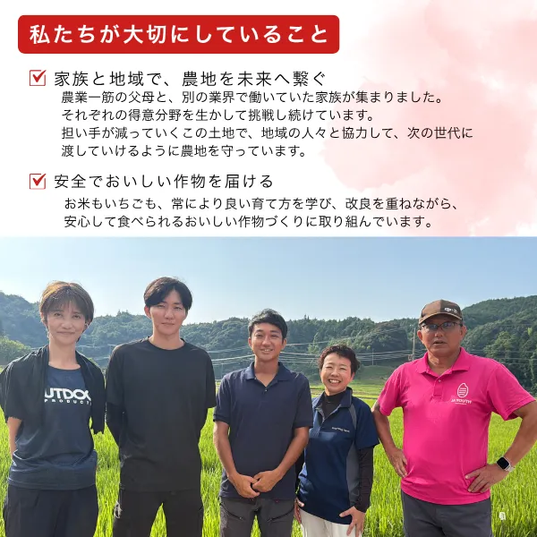 令和8年産新米 島根県産きぬむすめ白米10kg 5年連続特A産地一等米相当発送直前精米 【秋の味覚】