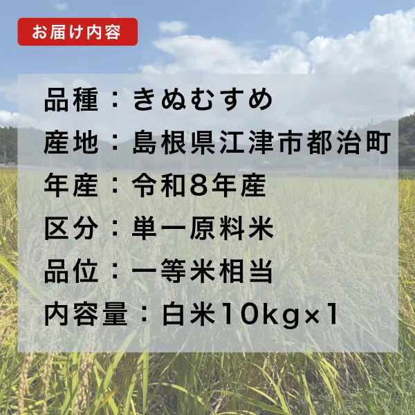 令和8年産新米 島根県産きぬむすめ白米10kg 5年連続特A産地一等米相当発送直前精米 【秋の味覚】