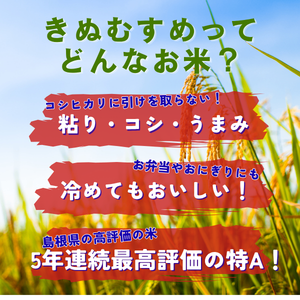 令和8年産新米 島根県産きぬむすめ玄米5/10kg 5年連続特A産地一等米相当色彩選別済【秋の味覚】