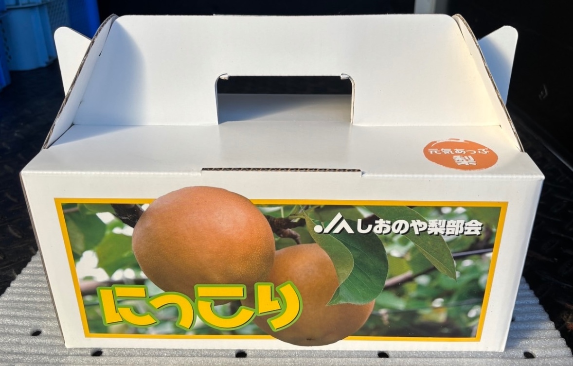 にっこり化粧箱【予約受付中】【10月初旬〜中旬頃順次発送予定】【秋の味覚】