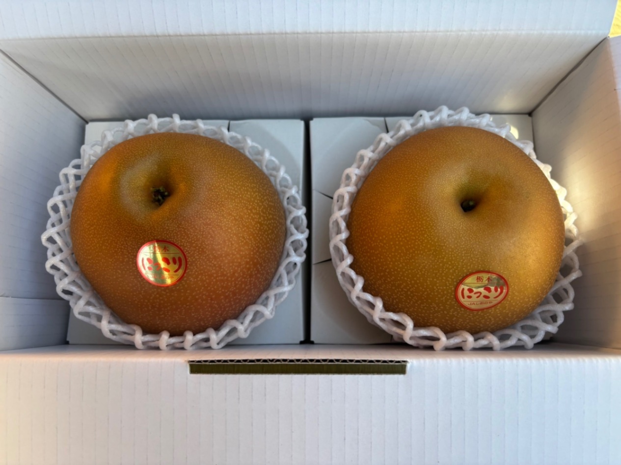 にっこり化粧箱【予約受付中】【10月初旬〜中旬頃順次発送予定】【秋の味覚】