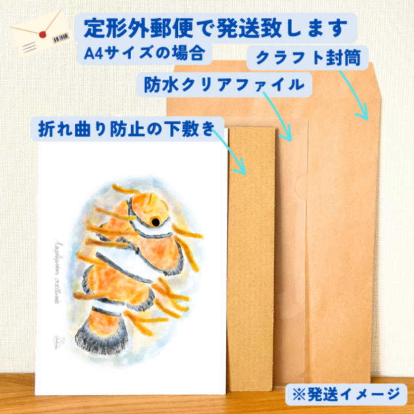 【ハンドメイド】水彩ポストカード｜カクレクマノミ｜海の生き物イラスト