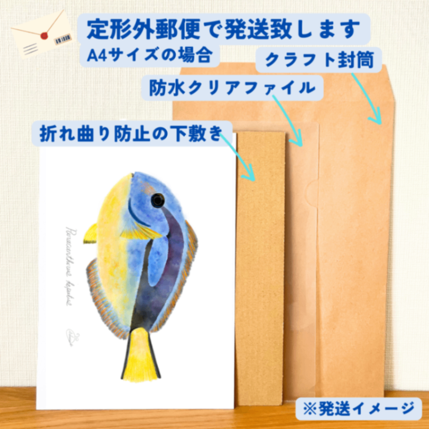 【ハンドメイド】水彩ポストカード｜ナンヨウハギ｜海の生き物イラスト