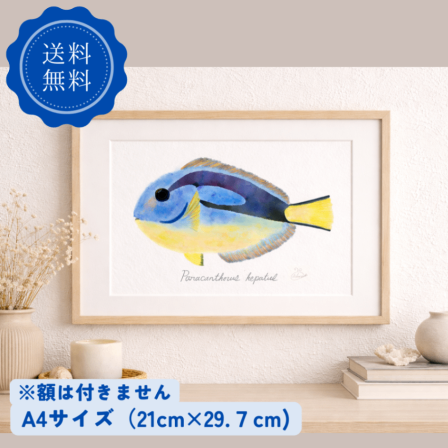 【ハンドメイド】水彩ポストカード｜ナンヨウハギ｜海の生き物イラスト