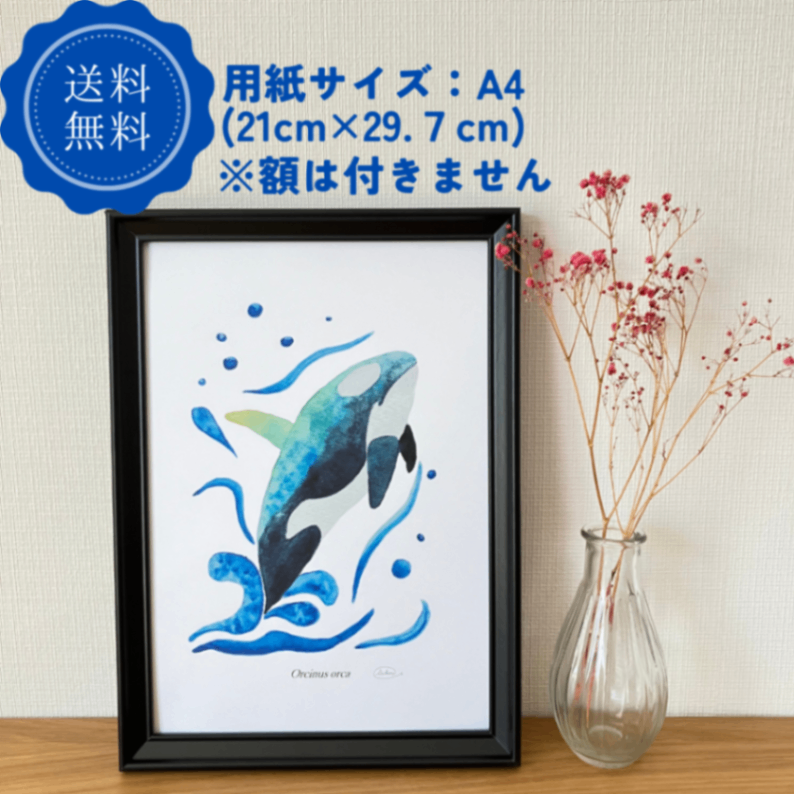 【ハンドメイド】水彩ポストカード｜シャチ｜海の生き物イラスト