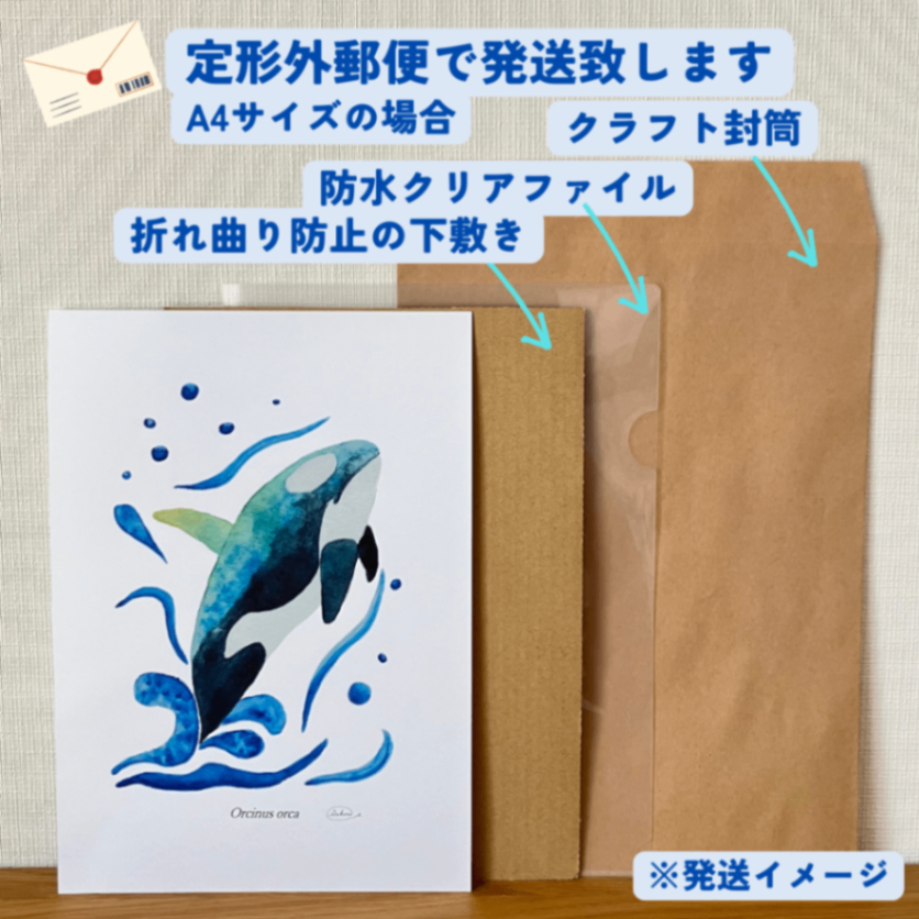 【ハンドメイド】水彩ポストカード｜シャチ｜海の生き物イラスト