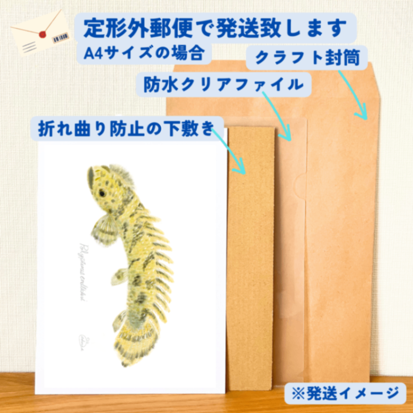 【ハンドメイド】水彩ポストカード｜ポリプテルス｜古代魚イラスト