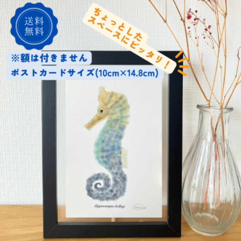 【ハンドメイド】水彩ポストカード｜タツノオトシゴ｜海の生き物イラスト