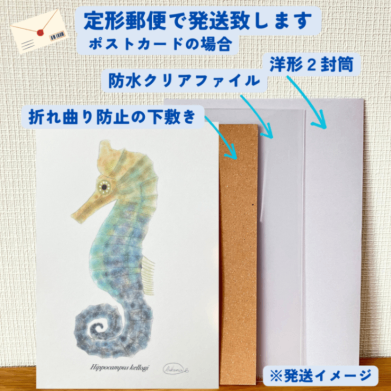 【ハンドメイド】水彩ポストカード｜タツノオトシゴ｜海の生き物イラスト