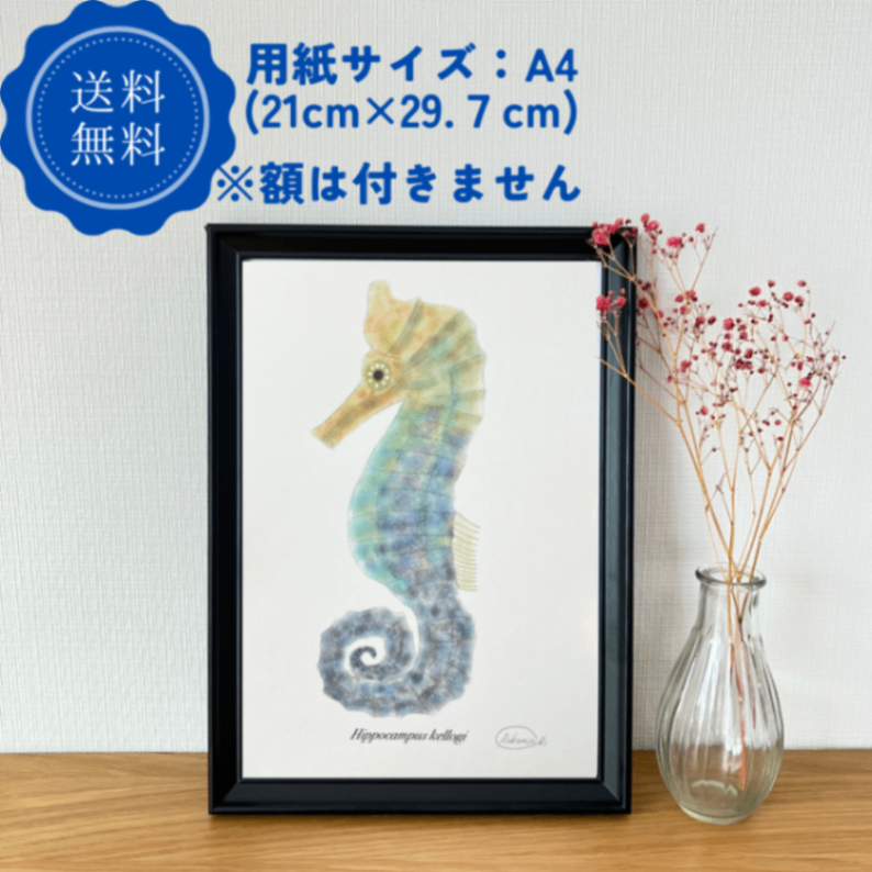 【ハンドメイド】水彩ポストカード｜タツノオトシゴ｜海の生き物イラスト