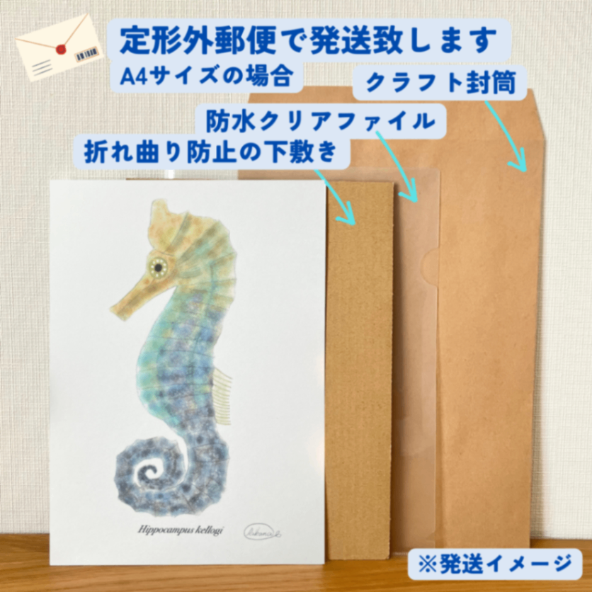 【ハンドメイド】水彩ポストカード｜タツノオトシゴ｜海の生き物イラスト