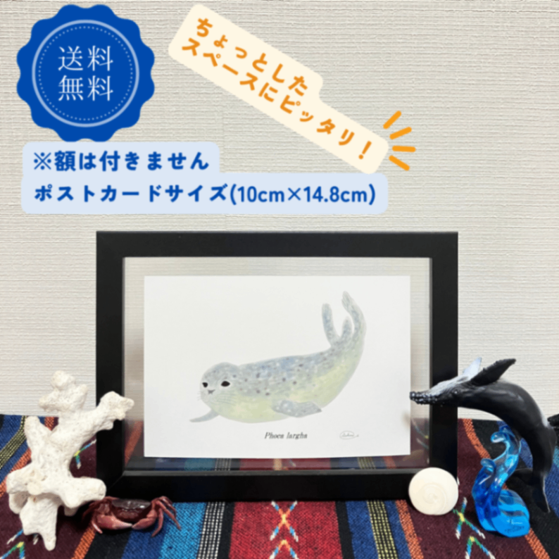 【ハンドメイド】水彩ポストカード｜アザラシ｜海の生き物イラスト