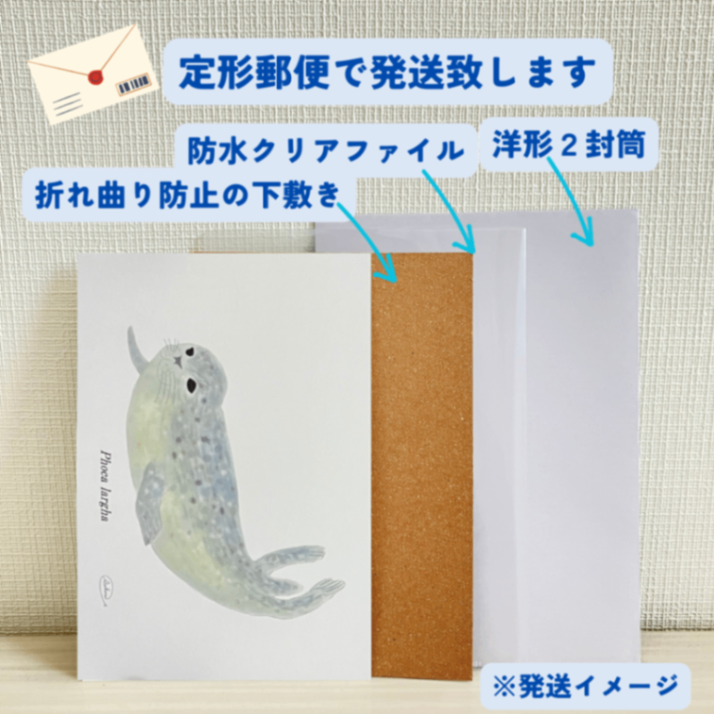 【ハンドメイド】水彩ポストカード｜アザラシ｜海の生き物イラスト