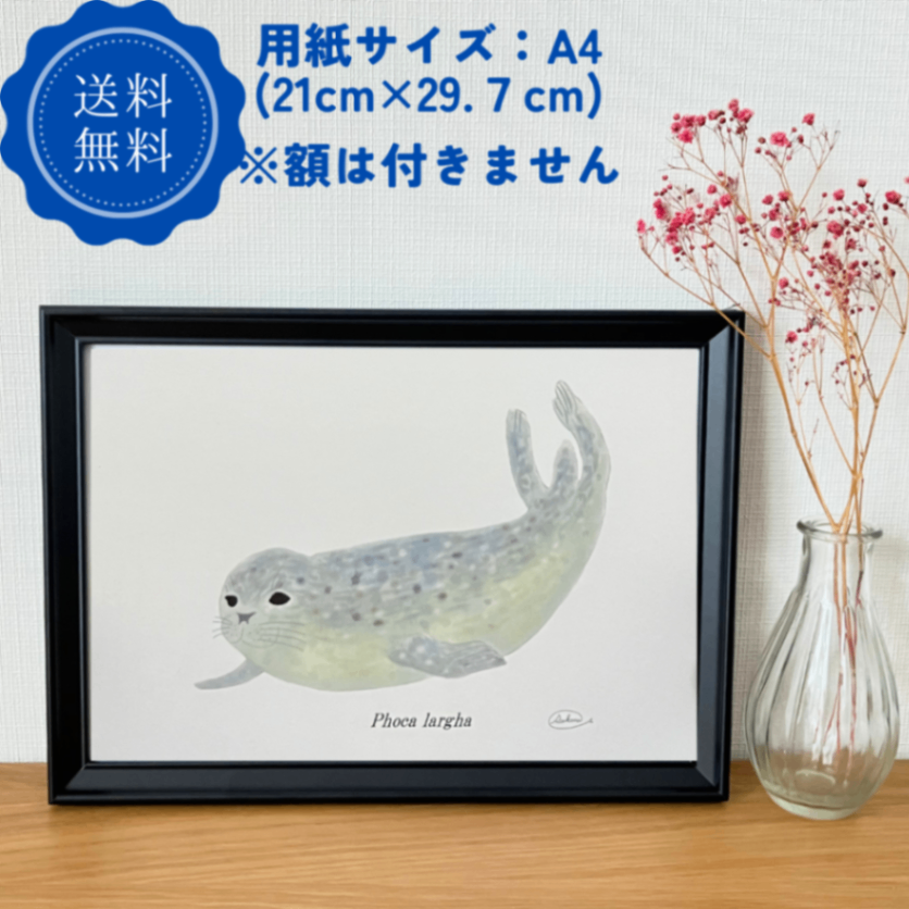 【ハンドメイド】水彩ポストカード｜アザラシ｜海の生き物イラスト