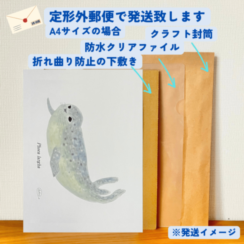 【ハンドメイド】水彩ポストカード｜アザラシ｜海の生き物イラスト