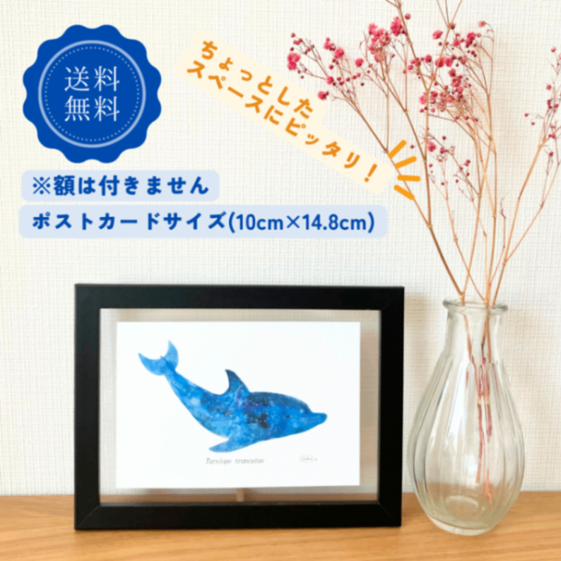 【ハンドメイド】水彩ポストカード｜イルカ｜星空イラスト