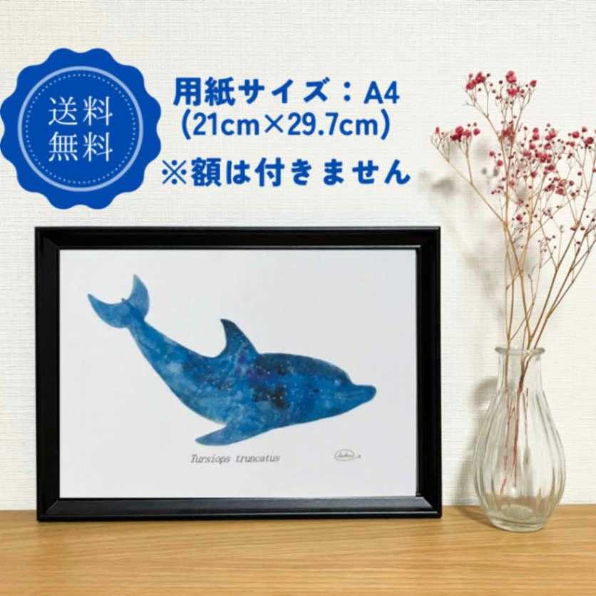 【ハンドメイド】水彩ポストカード｜イルカ｜星空イラスト