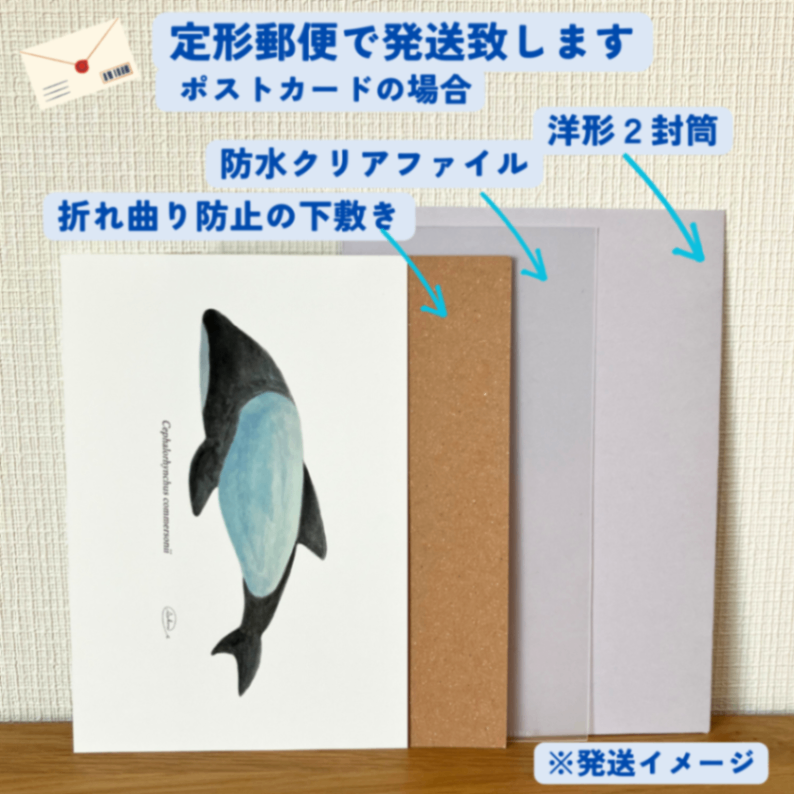 【ハンドメイド】水彩ポストカード｜イロワケイルカ｜海の生き物イラスト