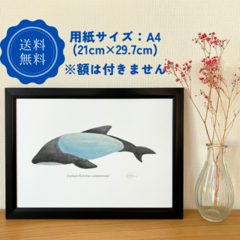 【ハンドメイド】水彩ポストカード｜イロワケイルカ｜海の生き物イラスト