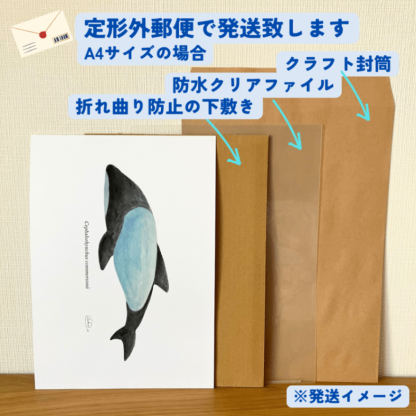 【ハンドメイド】水彩ポストカード｜イロワケイルカ｜海の生き物イラスト