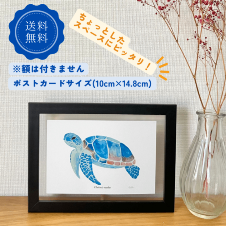 【ハンドメイド】水彩ポストカード｜ウミガメ｜海の生き物イラスト