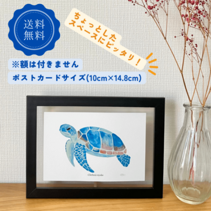 【ハンドメイド】水彩ポストカード｜ウミガメ｜海の生き物イラスト