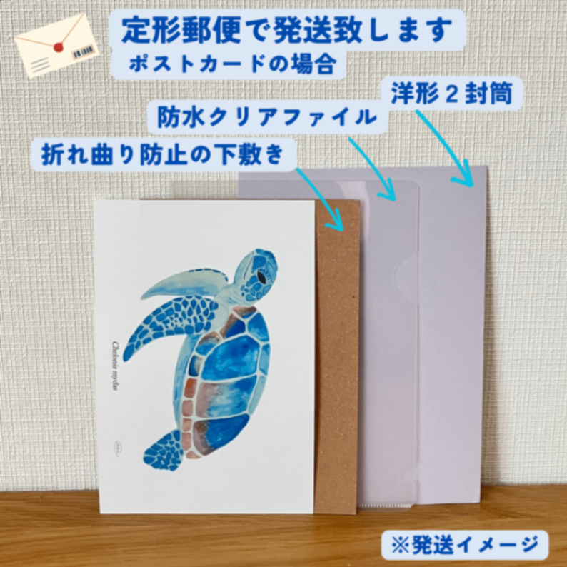 【ハンドメイド】水彩ポストカード｜ウミガメ｜海の生き物イラスト