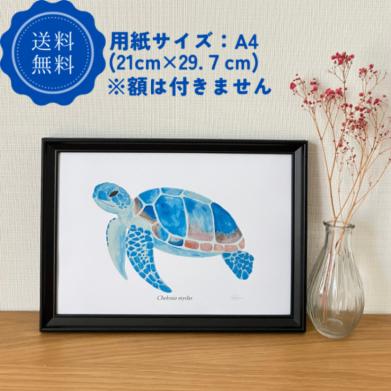 【ハンドメイド】水彩ポストカード｜ウミガメ｜海の生き物イラスト