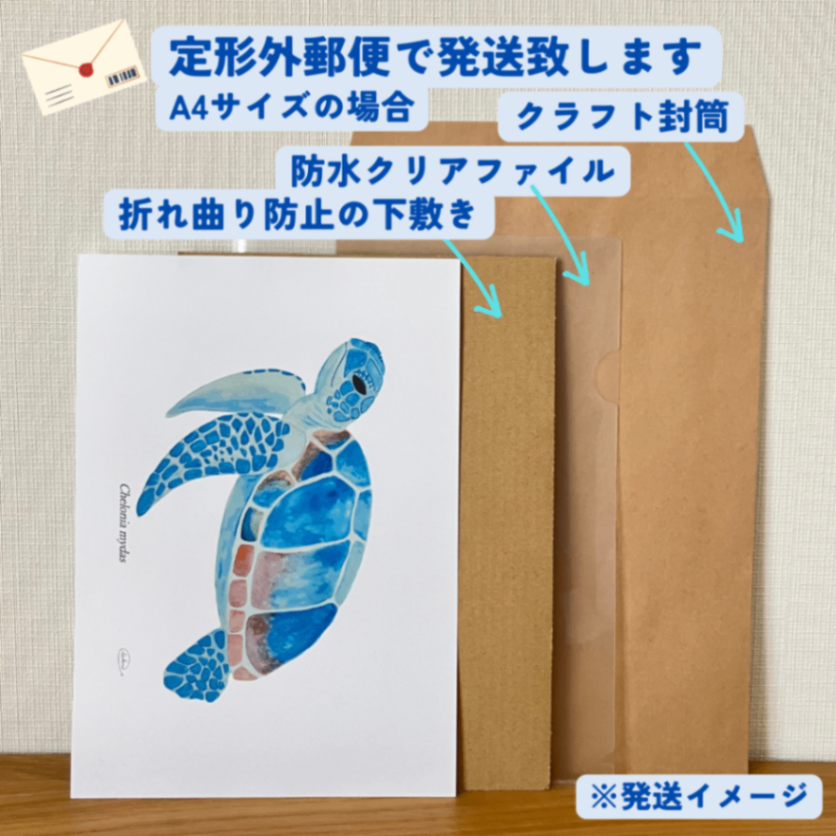 【ハンドメイド】水彩ポストカード｜ウミガメ｜海の生き物イラスト