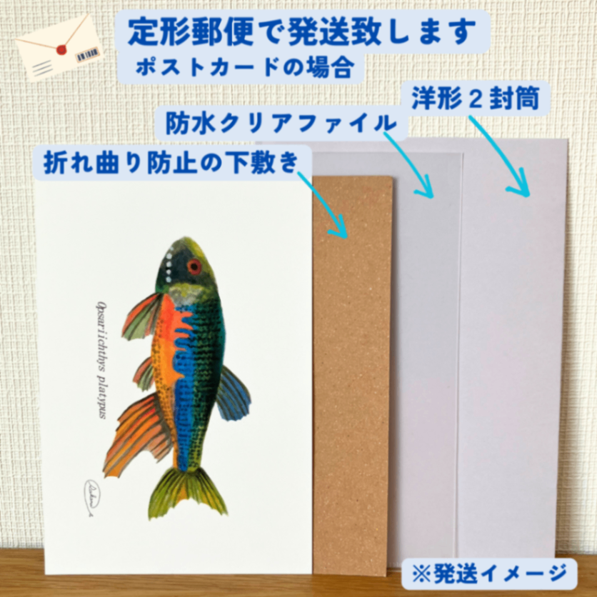 【ハンドメイド】水彩ポストカード｜オイカワ｜淡水魚イラスト