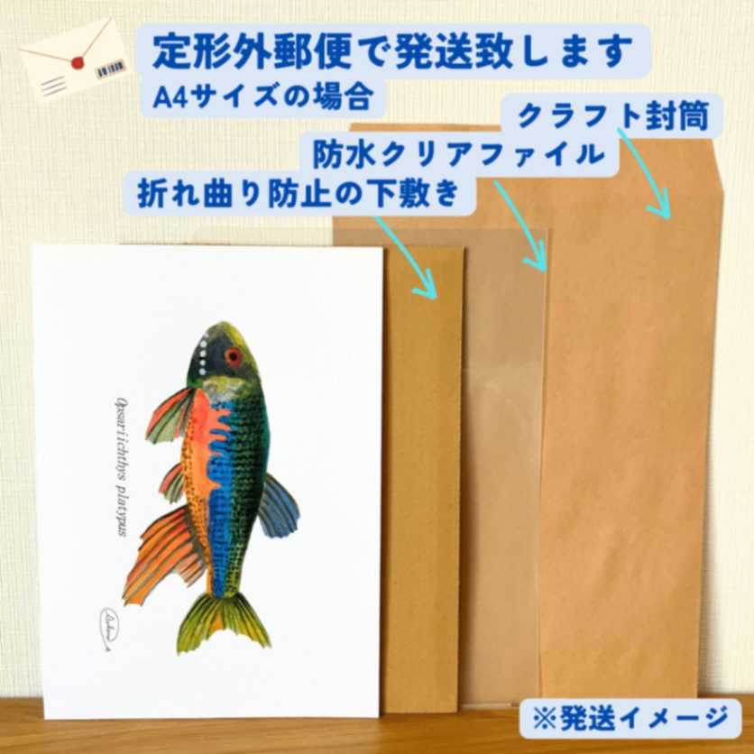 【ハンドメイド】水彩ポストカード｜オイカワ｜淡水魚イラスト