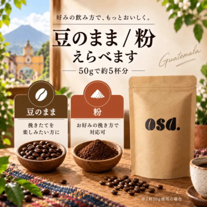【10月26日発送予約販売】【送料込み】グアテマラ コーヒー豆50g｜あさだ珈琲