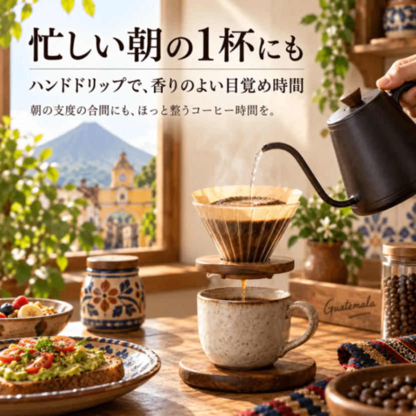 【送料込み】グアテマラ コーヒー豆50g｜あさだ珈琲