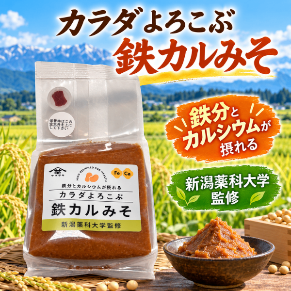 新潟 鉄カルみそ 700g 鉄分・カルシウム配合 新潟薬科大学監修 新潟県産大豆 国産米 使用
