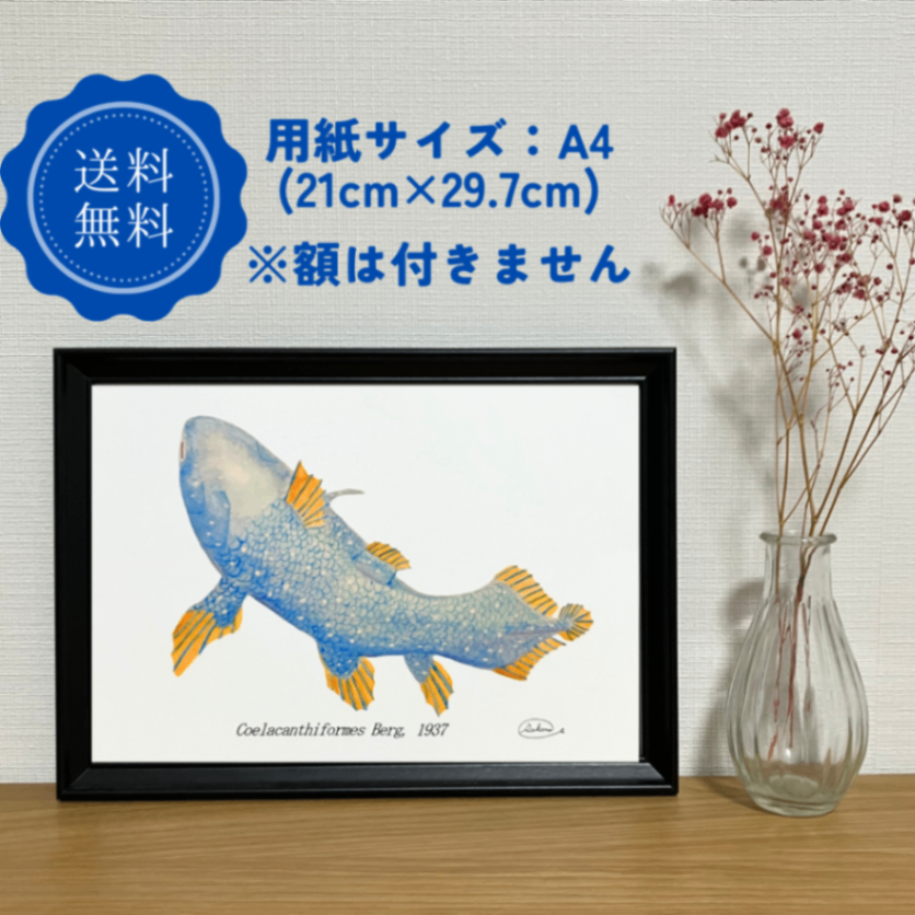 【ハンドメイド】水彩ポストカード｜シーラカンス｜古代魚イラスト
