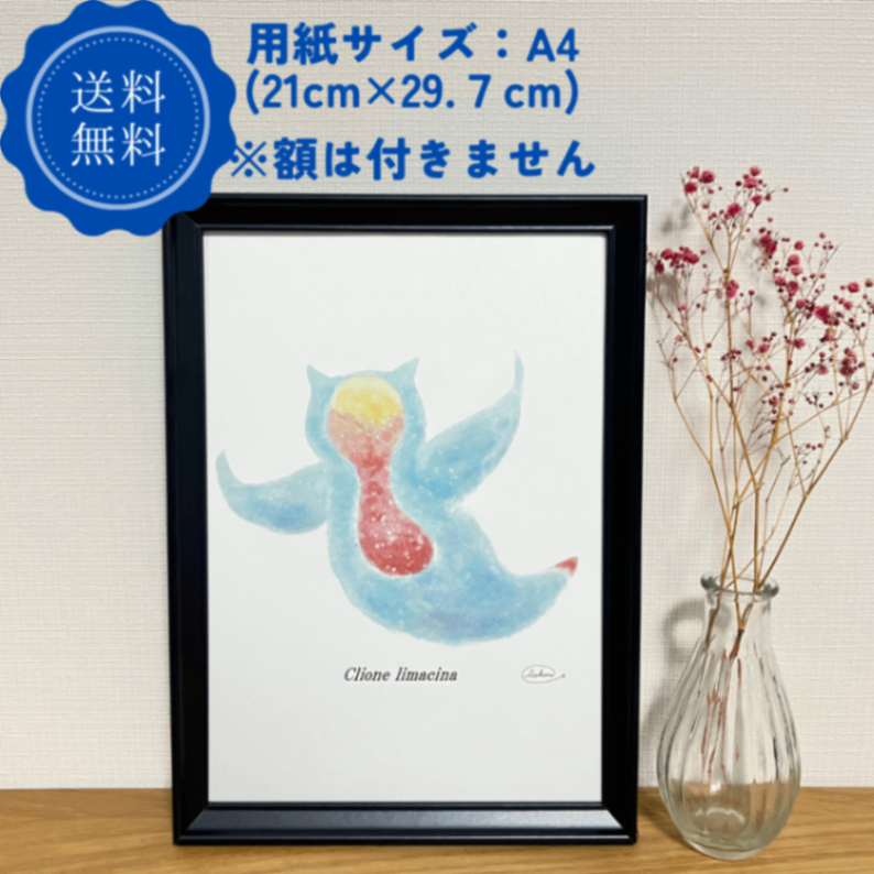 【ハンドメイド】水彩ポストカード｜クリオネ｜流氷の天使イラスト